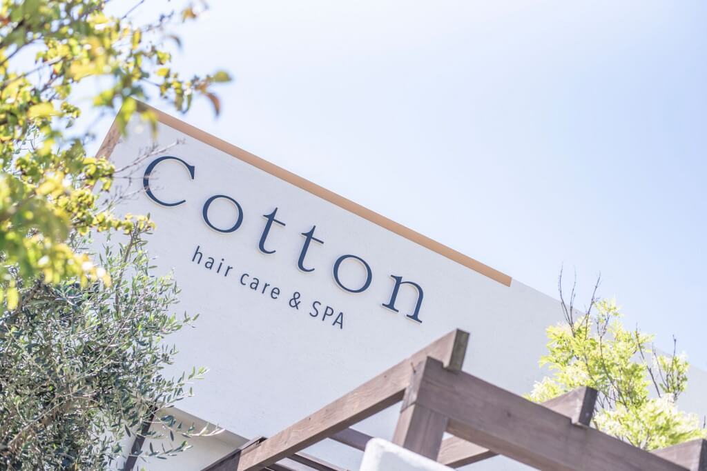 Cotton / Fukuoka