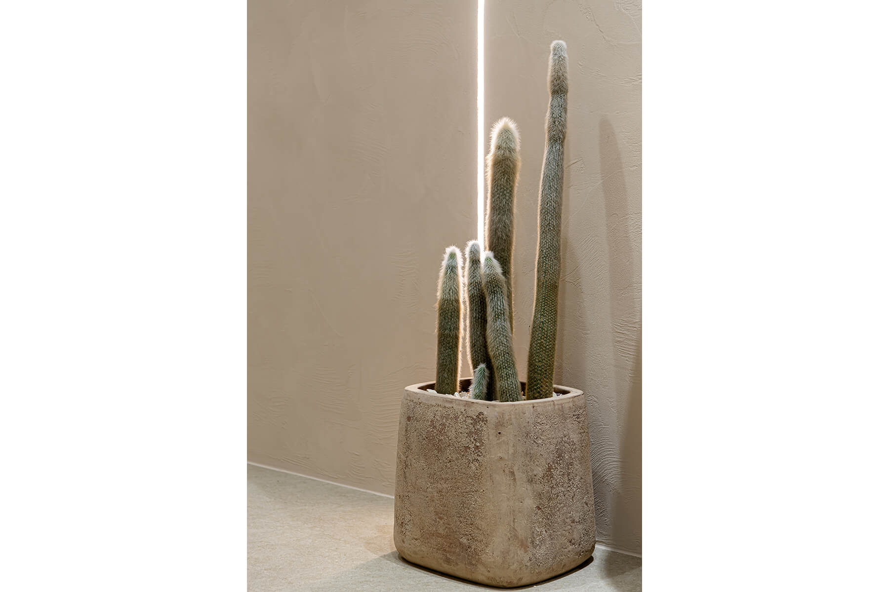 GO TODAY SHAiRE SALON 渋谷Lit店／Tokyo